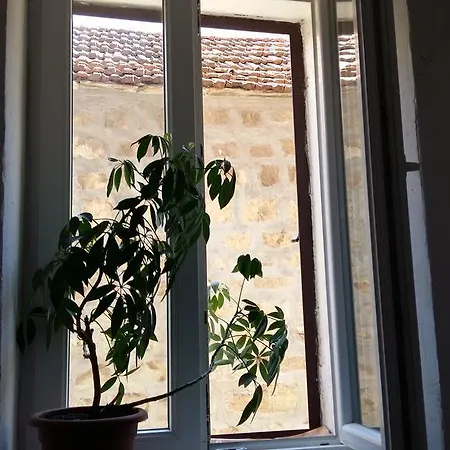 Studio Pablo